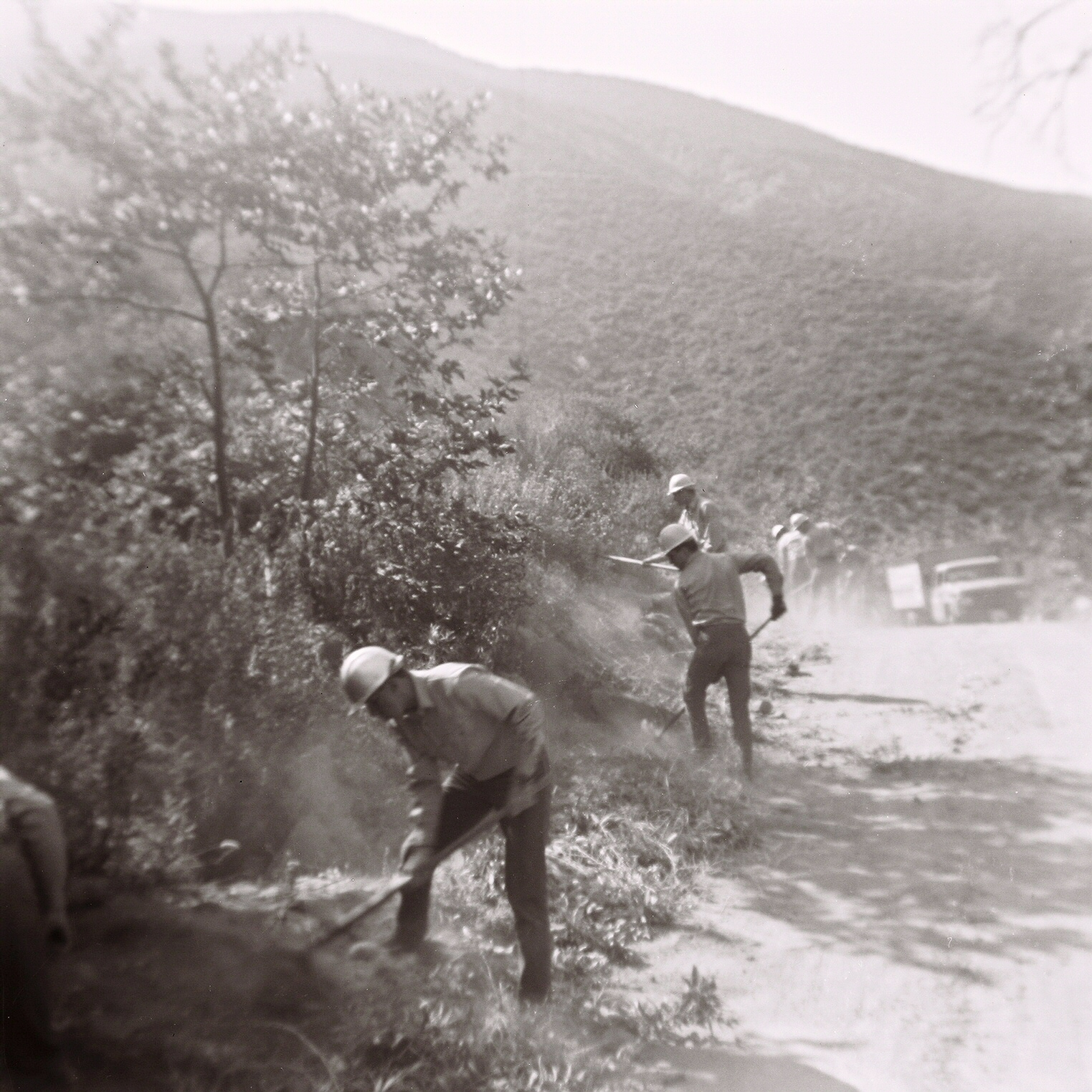 Roadside_Hazard_Reduction.jpg